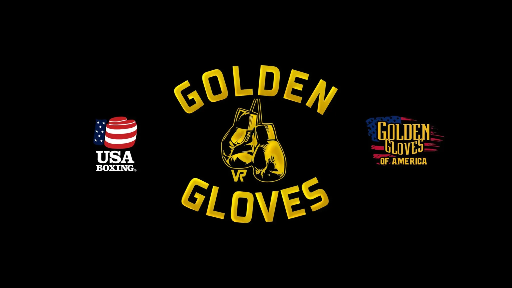 The main cover of the game Golden Gloves VR.